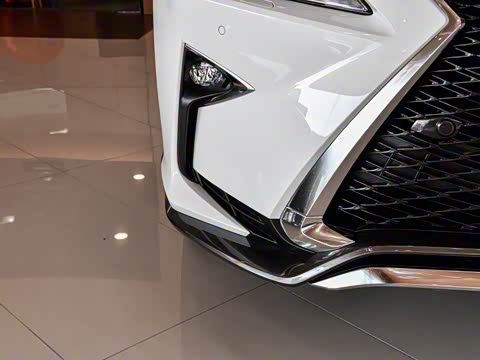 2017�� 300 Mark Levinson ����F SPORT�� ��V