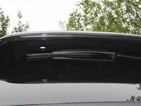 2025�� Max ������