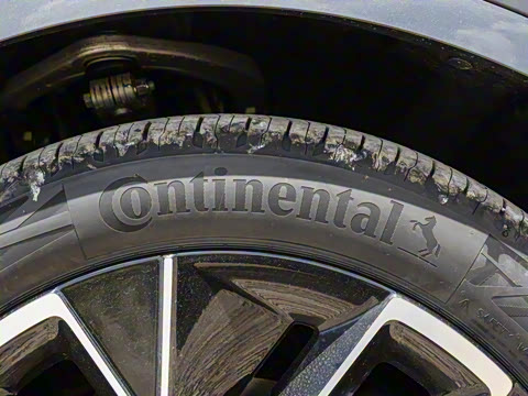 2025�� Max �����