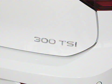 2025�� �Ŀ� 300TSI Pro