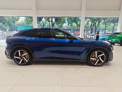 2025�� ������������������Max��