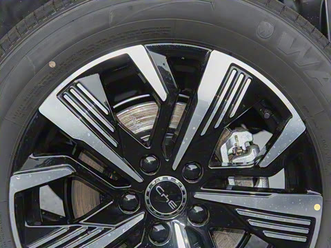 2025�� DM-i �Ǽݰ� 75KM������