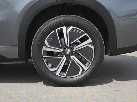 2025�� 55km ������