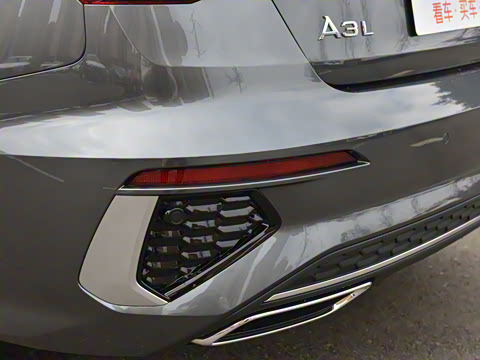 2022�� A3L Limousine 35 TFSI �����˶���