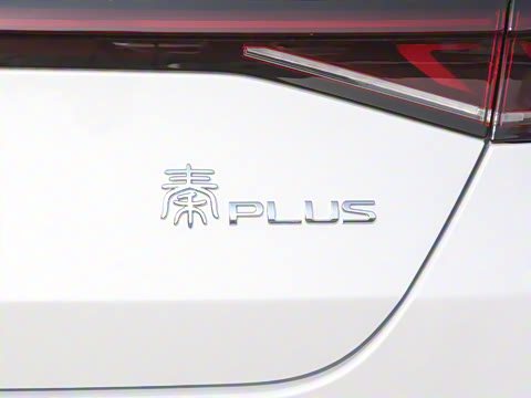 2023�� �ھ��� DM-i 120KM������