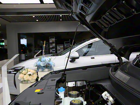 2026�� 501km�����