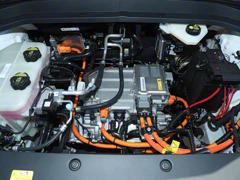 2025�� 445km ��ѡ��