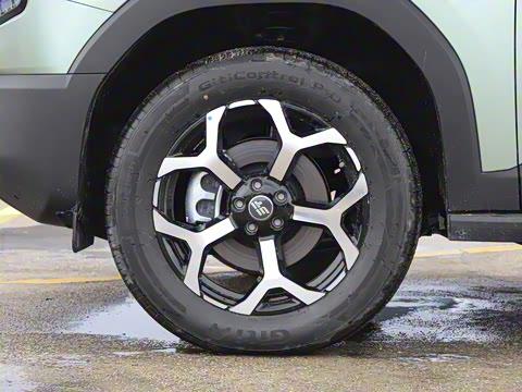 2025�� 226km ��Խ