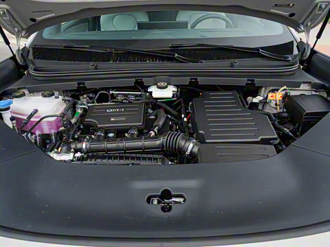 2025�� DM-i 170�캽Plus��