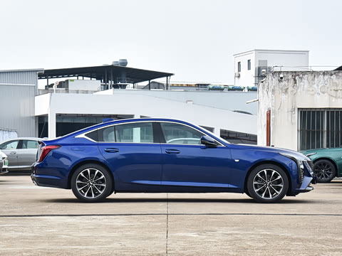 2025�� 28T �����˶���