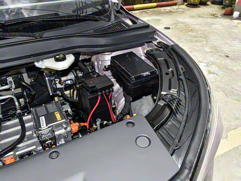 2025�� 445km ��ѡ��