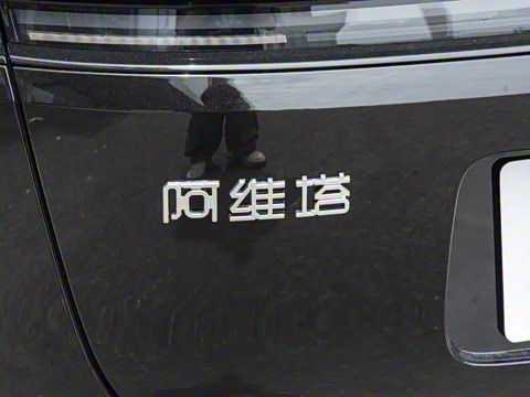 2025�� Max ���������