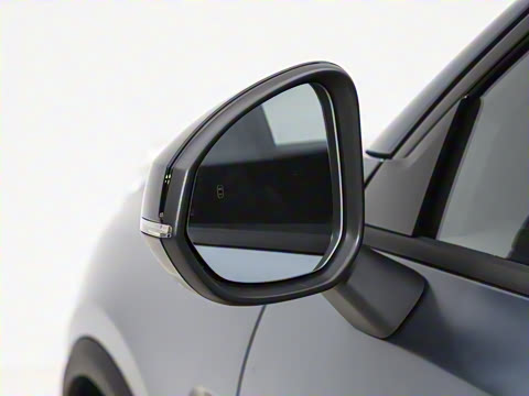 2025�� 2.0TD ��������Pro��