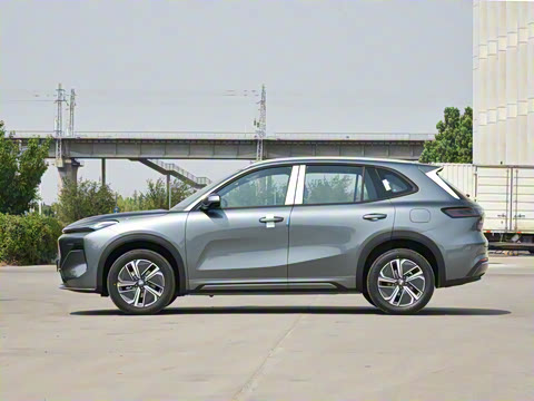 2025�� 55km ������