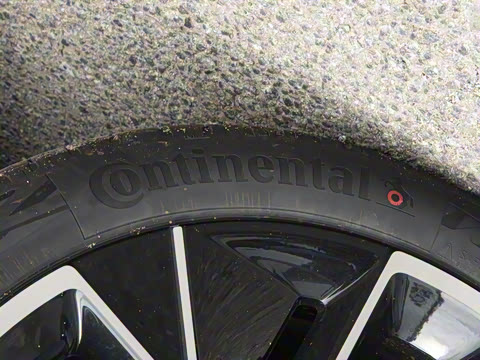 2025�� Max ���������