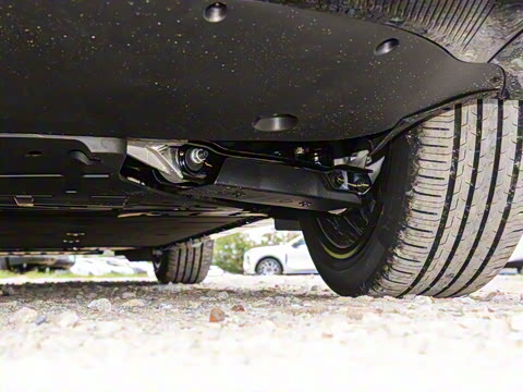 2025�� Max �����