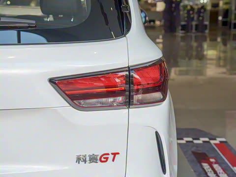2021�� GT 2.0T �Զ������� 5��