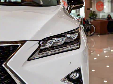 2017�� 300 Mark Levinson ����F SPORT�� ��V