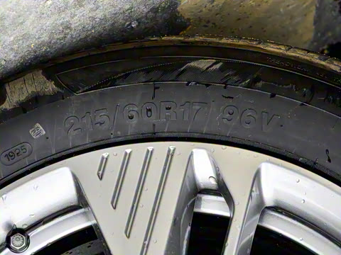 2025�� 445km ��ѡ��