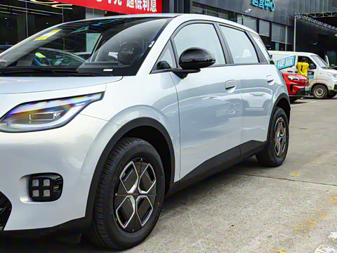 2025�� 330��ҫ��