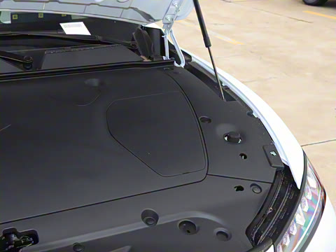 2025�� ���� 230Pro�캽��