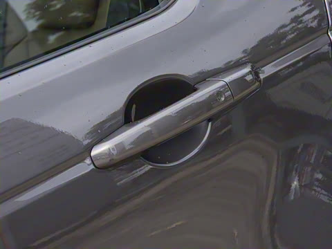 2024�� 1.5T P300e ���ʽ�綯��ϰ�