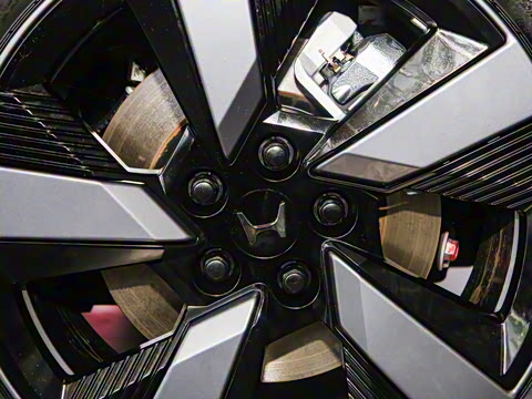 2025�� ����������Plus