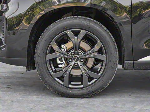 2021�� 390T ������ҫ��������