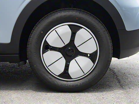 2025�� 310km �ഺ��