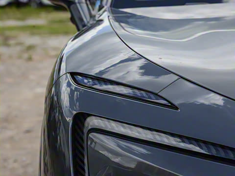 2025�� Max �����