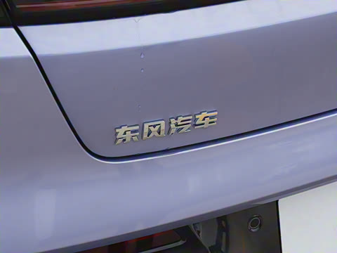 2025�� ���� 230ProѲ����