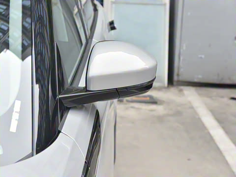 2021�� ����L P300e ������