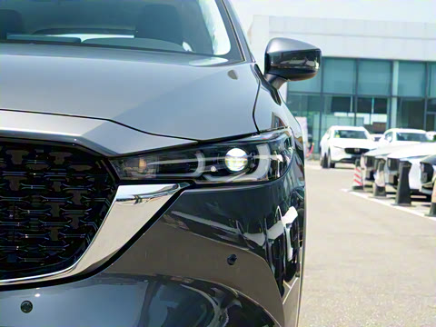 2025�� 2.0L �Զ�����������