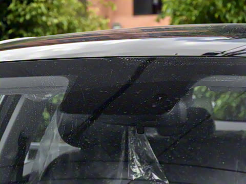 2025�� 445km ��ѡ��