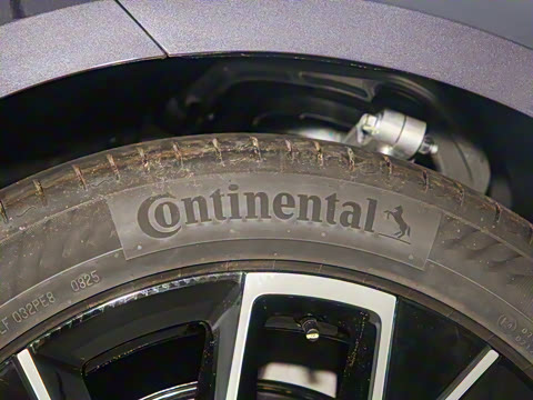 2025�� Max�����