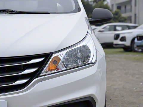 2020�� 1.2L �ֶ���ֵ��