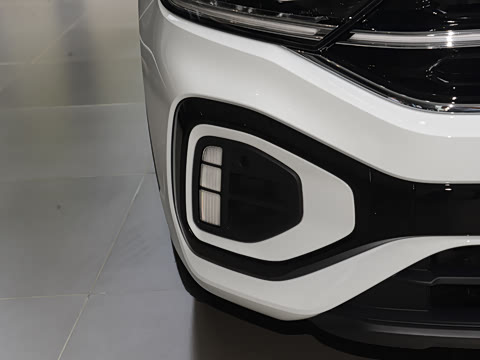 2025�� �Ŀ�� 300TSI DSG���������