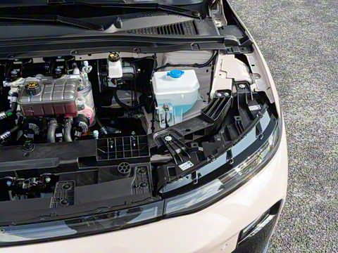 2025�� 650�����״��