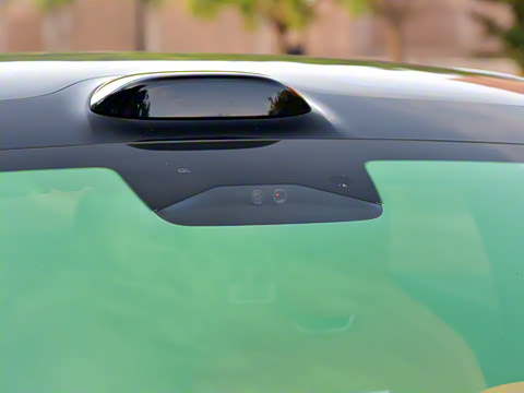 2025�� ������������������Max��