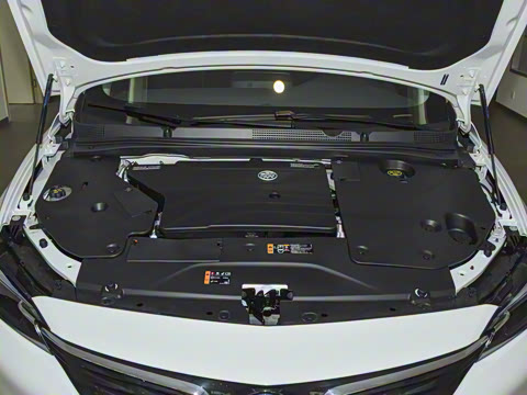 2022�� ���춯 �����ǻ���