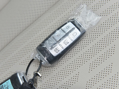 2021�� 2.5T ����������