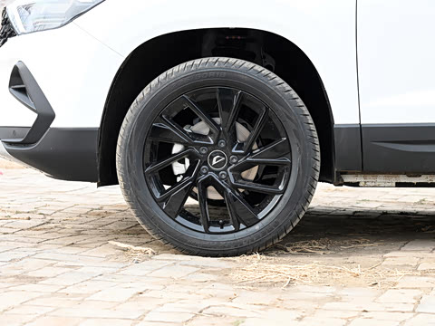 2022�� ��è�� 1.4T �Զ�������Pro