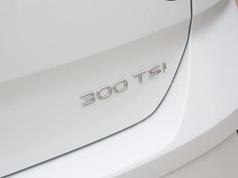 2025�� �Ŀ�� 300TSI DSG���������