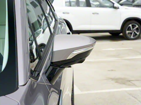 2022�� Plus 80 �����