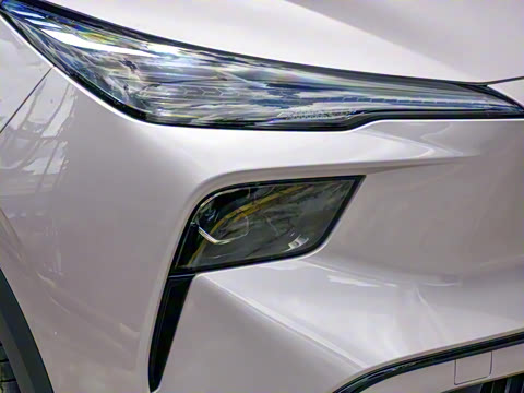 2025�� 445km ��ѡ��