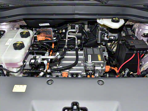 2025�� 445km ��ѡ��