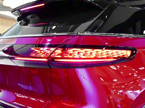 2019�� ������