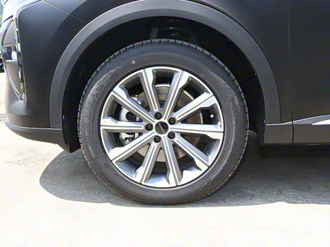 2025�� ̽����