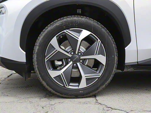 2024�� Plus 70 ��ҫ�� �������