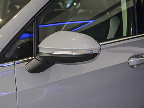 2025�� �Ŀ� 300TSI Pro